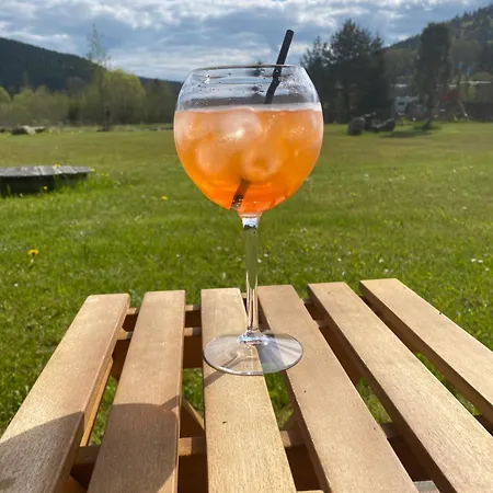 Wellness Gabreta 招待所 *