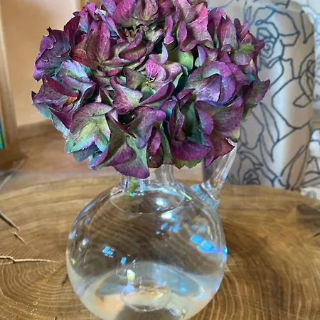 招待所 Wellness Gabreta *