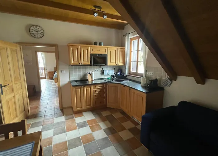 Penzion Wellness Gabreta Borová Lada