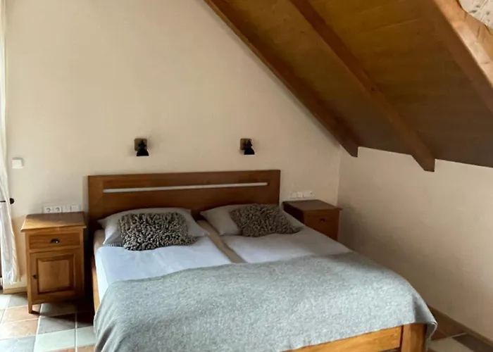 Penzion Wellness Gabreta *