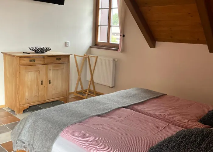 Wellness Gabreta Borová Lada