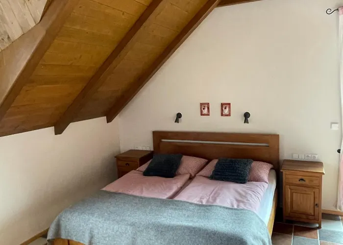 Wellness Gabreta Borová Lada