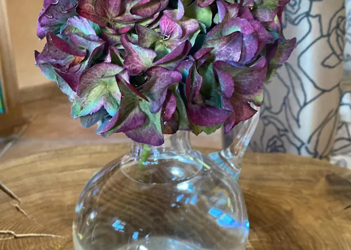 Penzion Wellness Gabreta *